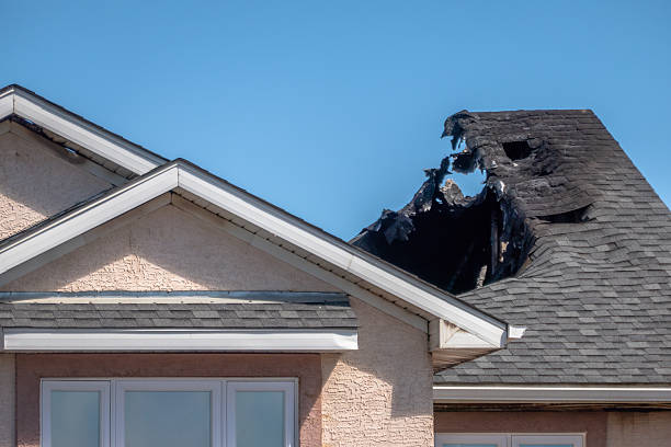 Top rated local Fire Damage Removal specialists in Bryn Mawr, PA